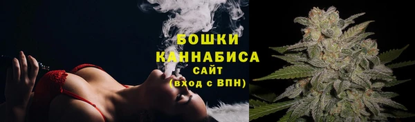 стафф Беломорск