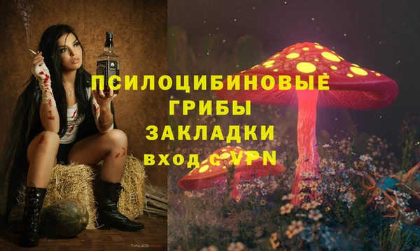 стафф Беломорск