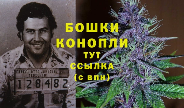 дживик Аркадак