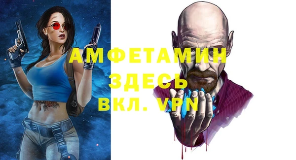 твердый Арсеньев